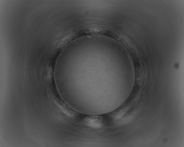 X0000091680563200708231420