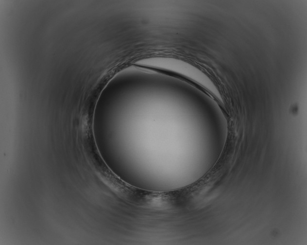 X0000091680564200708231420