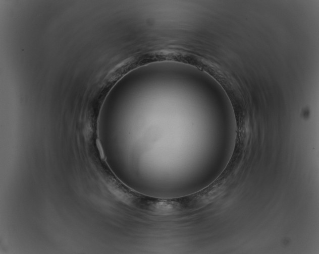 X0000091680566200708231420
