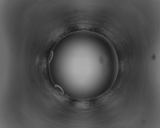 X0000091680567200708231420