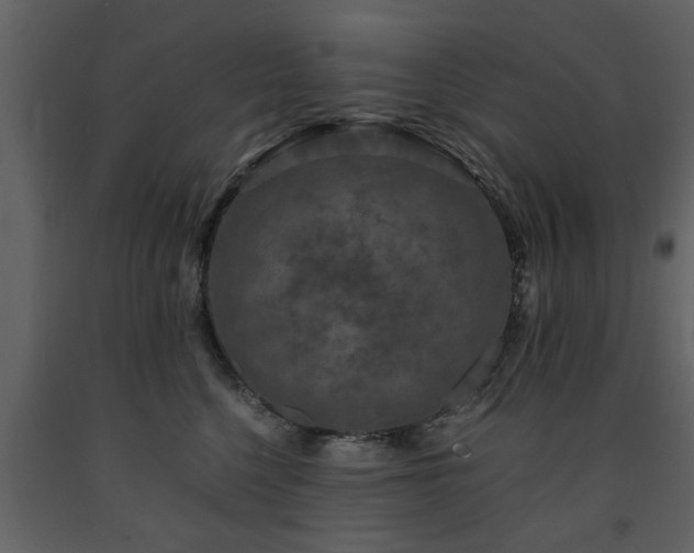 X0000091680568200708231420