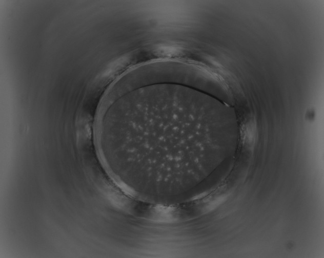 X0000091680570200708231420