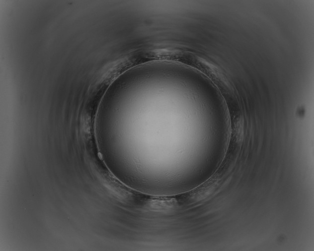 X0000091680571200708231420