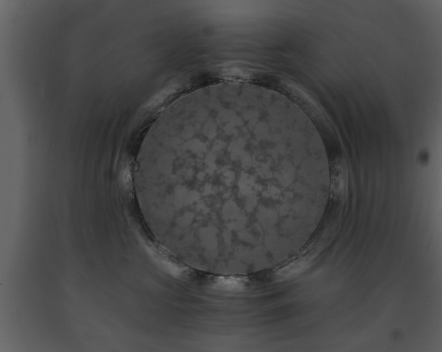 X0000091680573200708231420