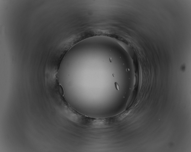X0000091680574200708231420