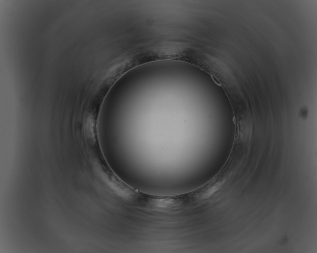 X0000091680575200708231420