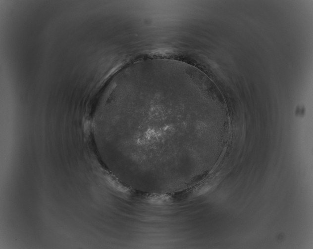 X0000091680576200708231420