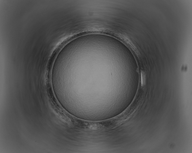 X0000091680579200708231419