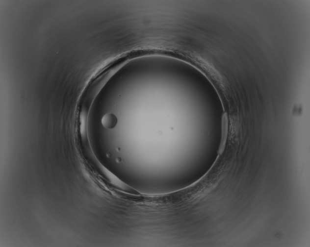 X0000091680580200708231419