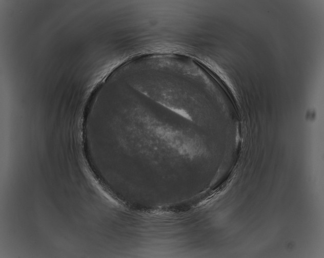 X0000091680581200708231419