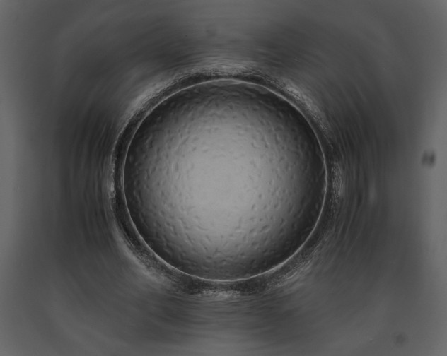 X0000091680582200708231419