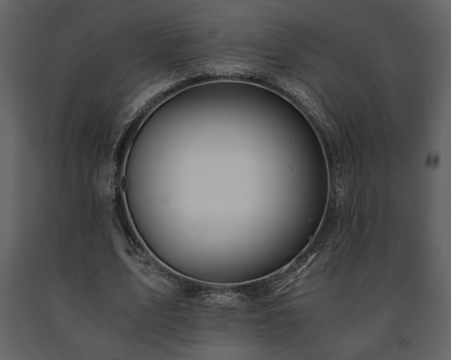 X0000091680583200708231419