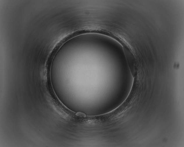 X0000091680584200708231419