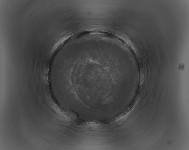 X0000091680585200708231419