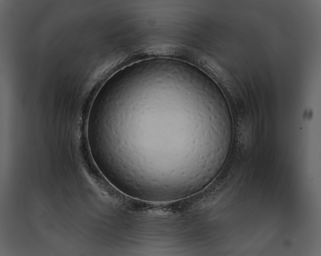 X0000091680586200708231419