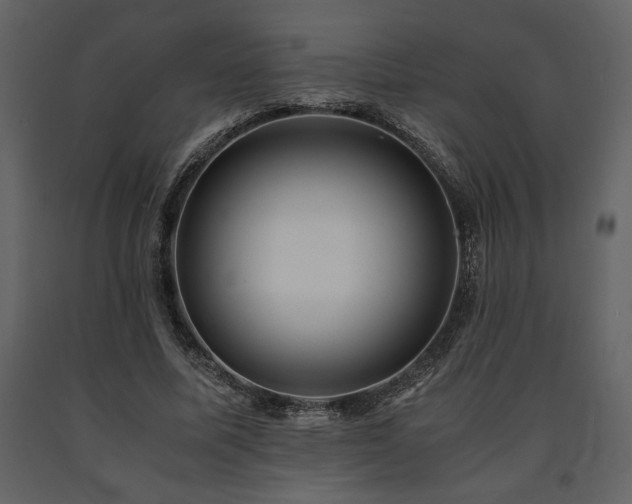 X0000091680587200708231419