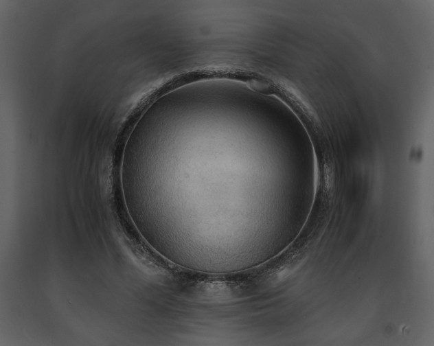 X0000091680588200708231419