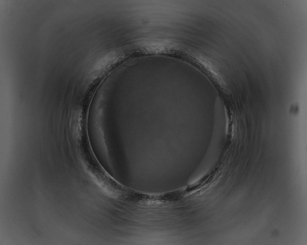 X0000091680590200708231419