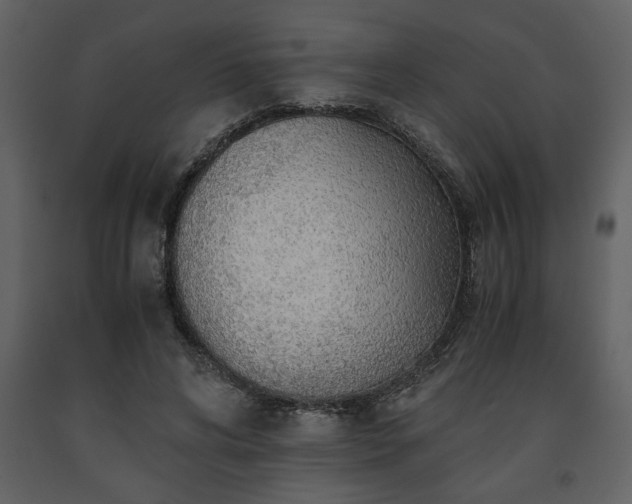 X0000091680592200708231419