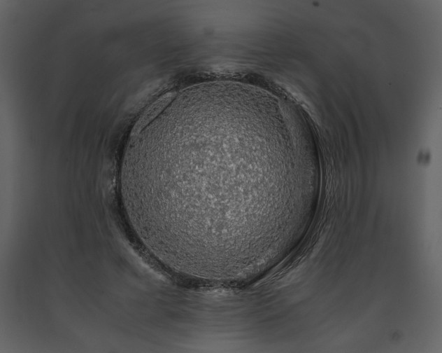 X0000091680593200708231419