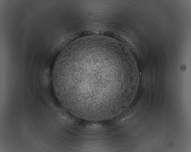 X0000091680594200708231419