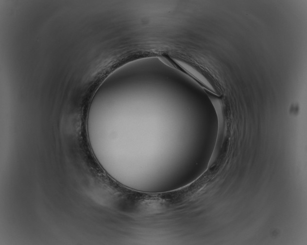 X0000091680595200708231419