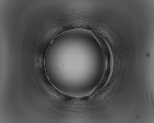 X0000091680597200708231419