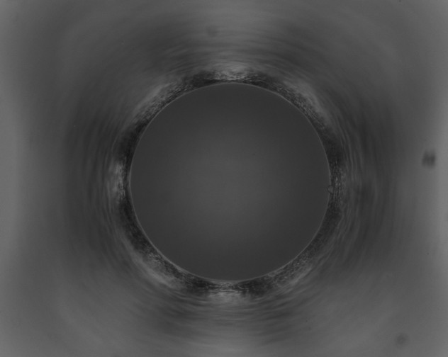 X0000091680598200708231419