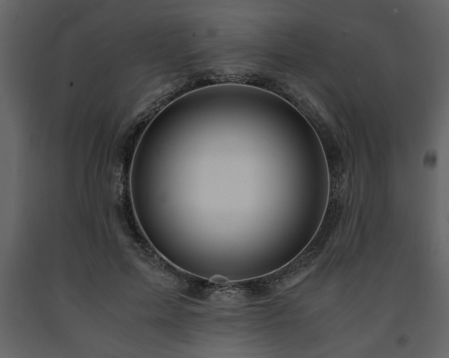 X0000091680599200708231419