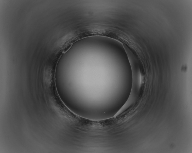 X0000091680600200708231419