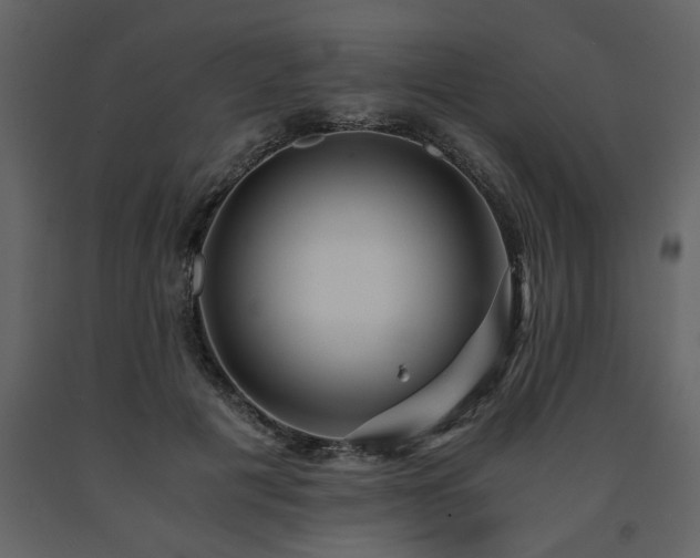 X0000091680601200708231419