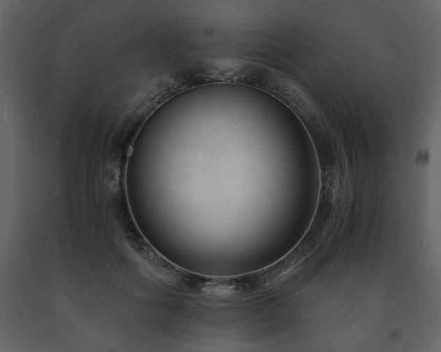 X0000091680602200708231419