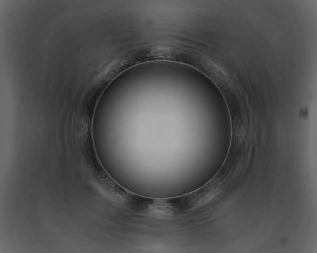 X0000091680603200708231419