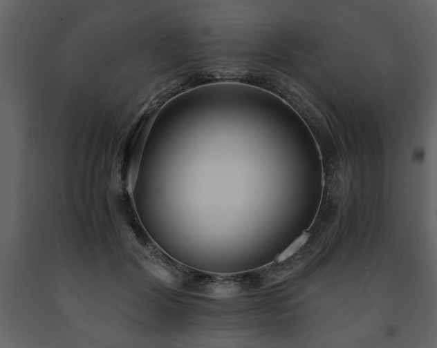 X0000091680604200708231419