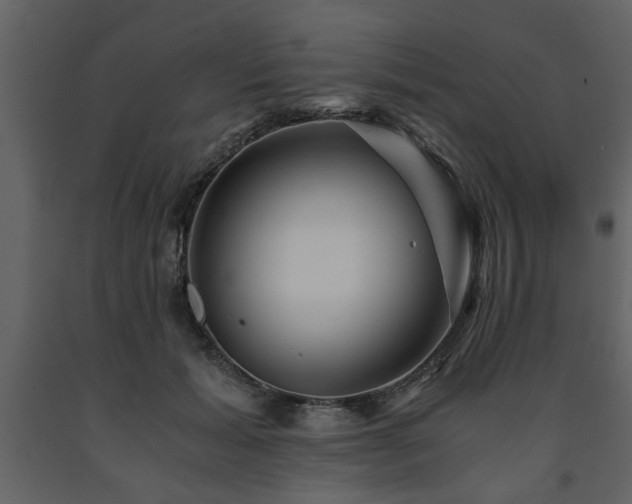 X0000091680605200708231419