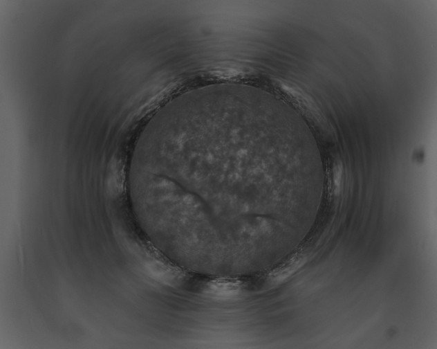 X0000091680606200708231419