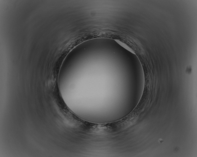 X0000091680607200708231419