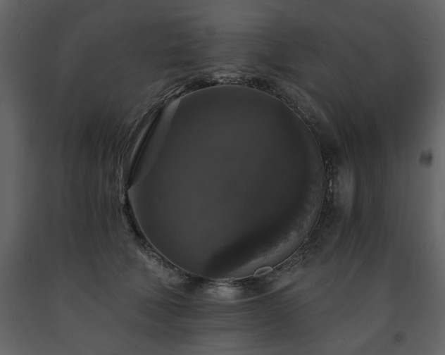 X0000091680610200708231419