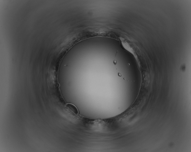 X0000091680612200708231419
