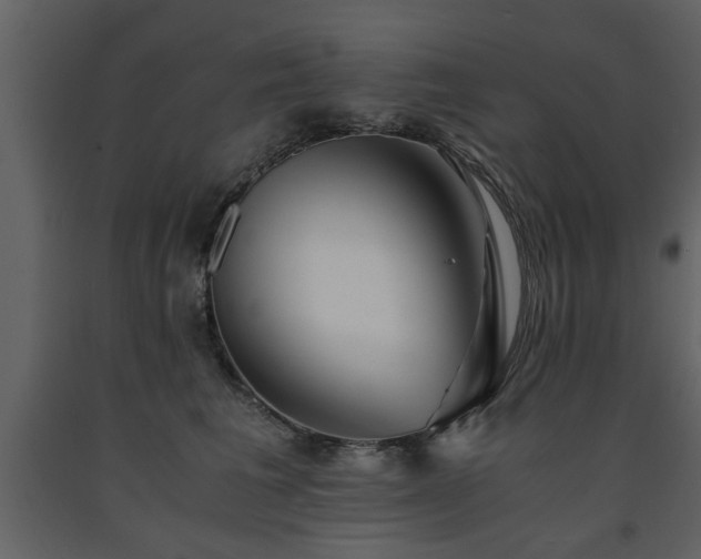 X0000091680613200708231419