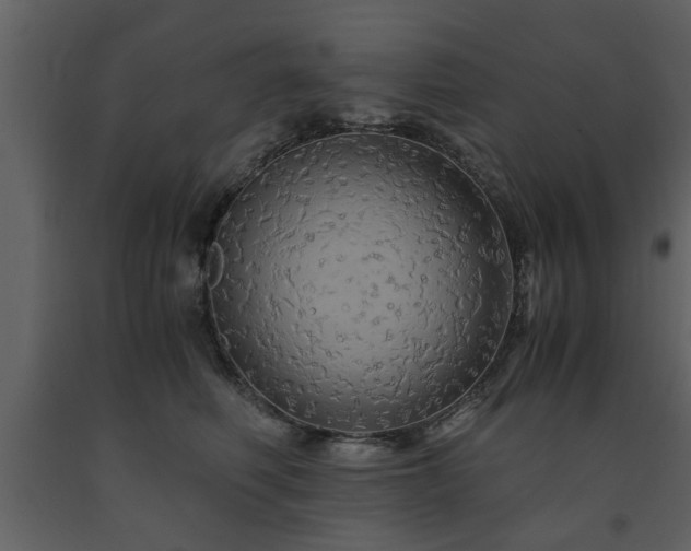 X0000091680614200708231419