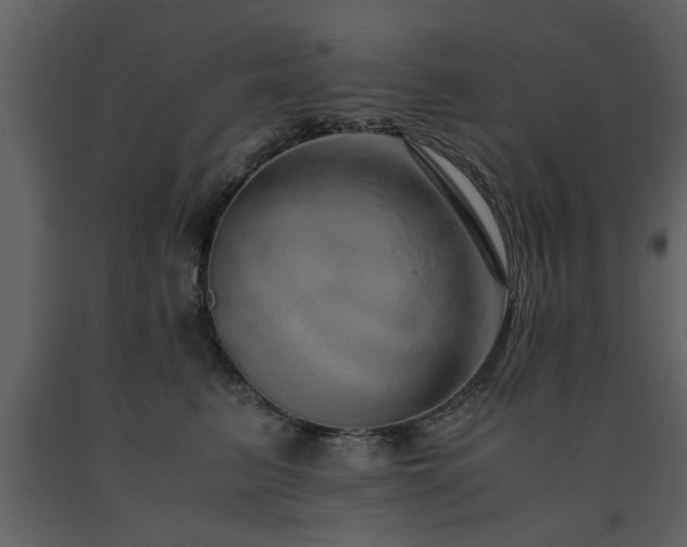 X0000091680615200708231419