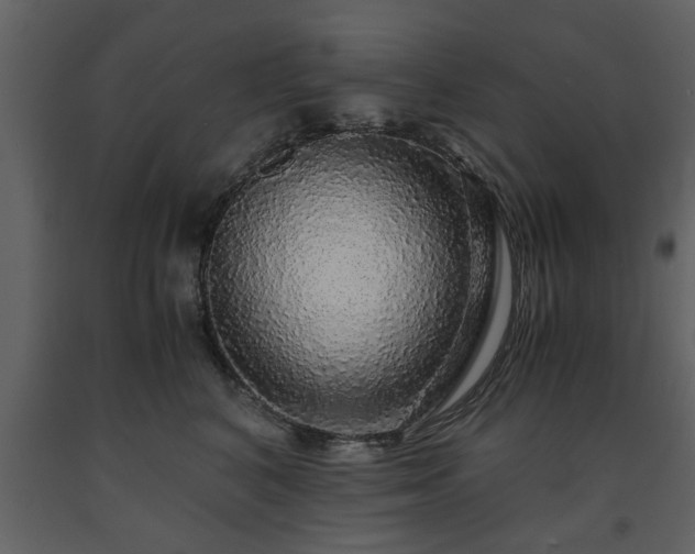 X0000091680616200708231419