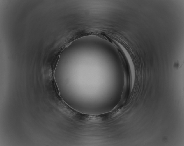 X0000091680617200708231419