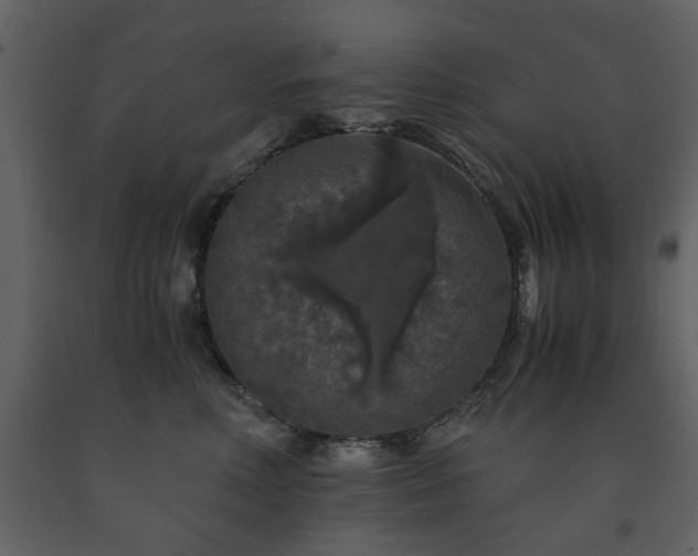 X0000091680618200708231419
