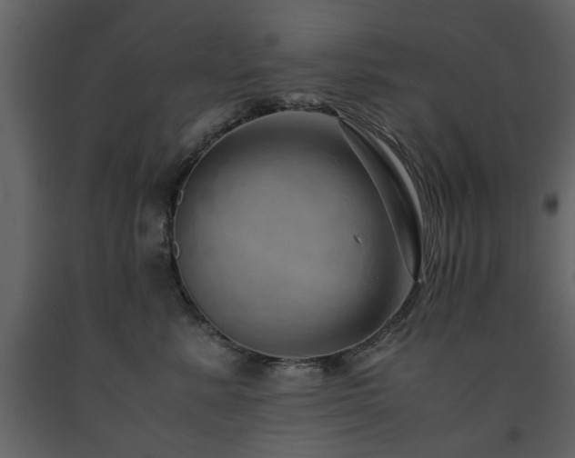 X0000091680619200708231419