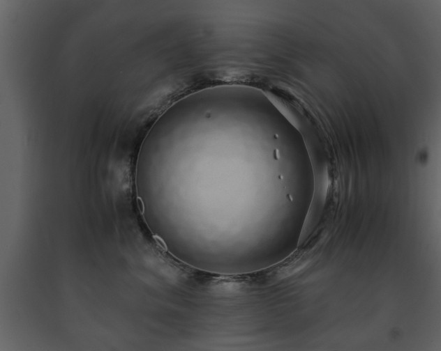 X0000091680620200708231419