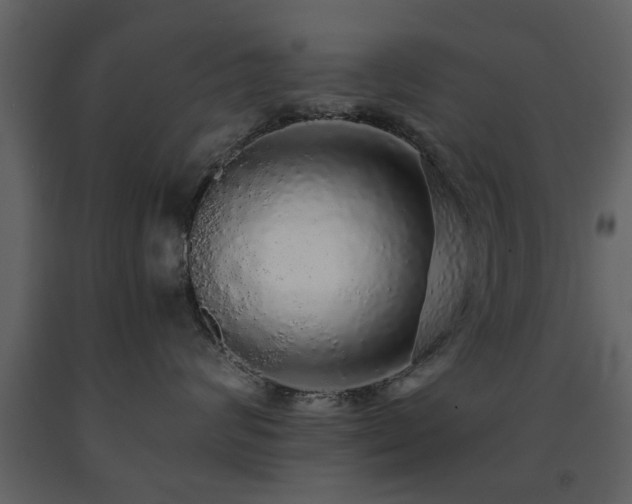 X0000091680624200708231418