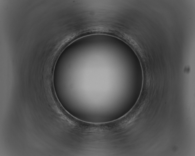 X0000091680625200708231418