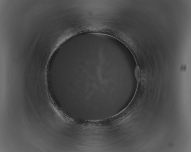 X0000091680626200708231418